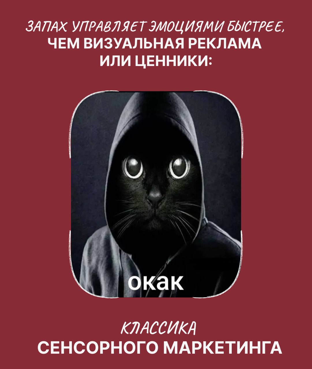 ❤️❤️❤️❤️❤️❤️

Лампочки меняли? Может, поэтому и не продается...

Разбираемся с сенсорным маркетингом.

Выбор покупателя — это не только про цену и упаковку. Это про запах кофе, доносящийся из коридора. Про мягкий свет в примерочной. Про музыку, которая  располагает. Всё, что воспринимают наши чувства — звук, свет, аромат, текстура — влияет на целевое решение потребителя. Сегодня поговорим о том, как сенсорный маркетинг может (и должен!) работать на продажи.